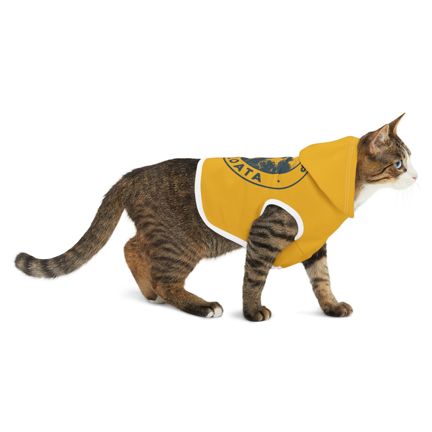 Camp Minnefloata Lake Pet Hoodie