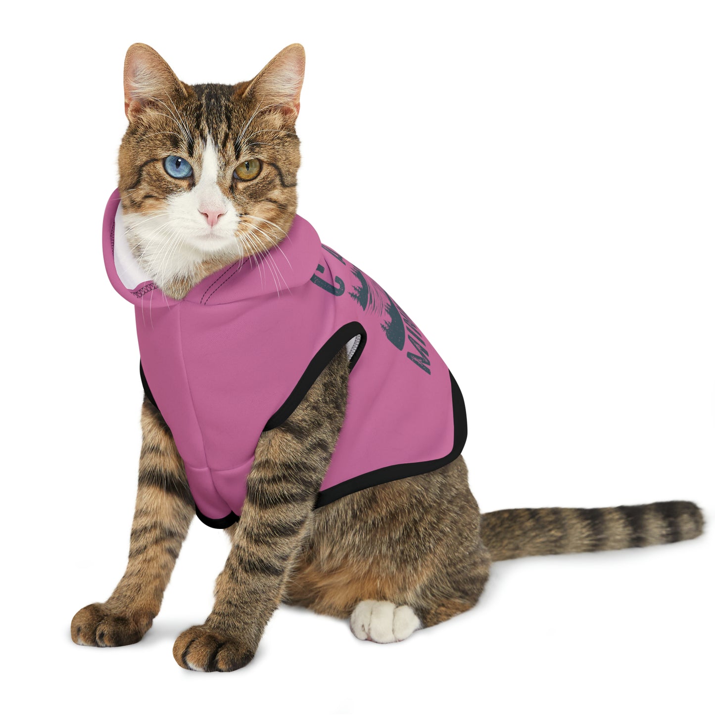 Camp Minnefloata Dock Pet Hoodie