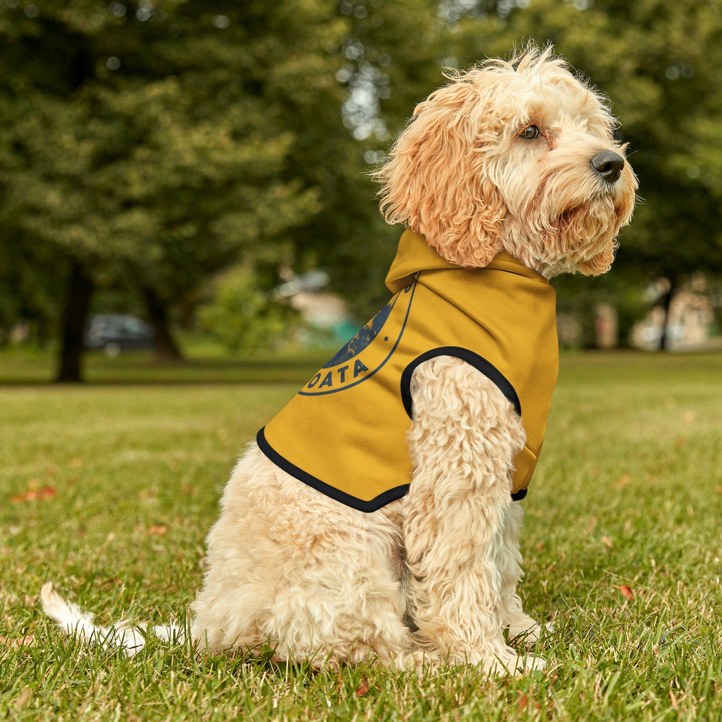 Camp Minnefloata Lake Pet Hoodie