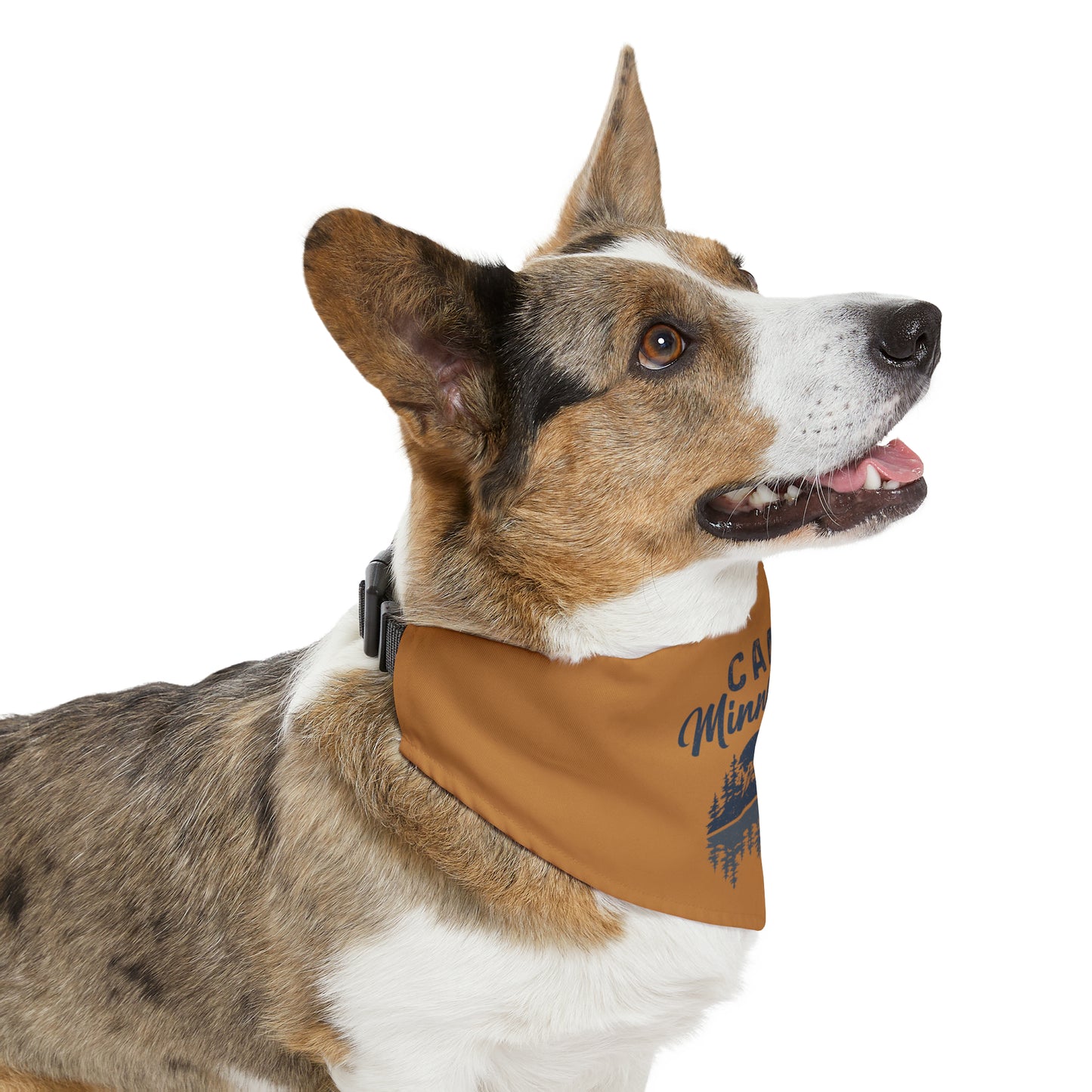 Camp Minnefloata Reflection Pet Bandana Collar