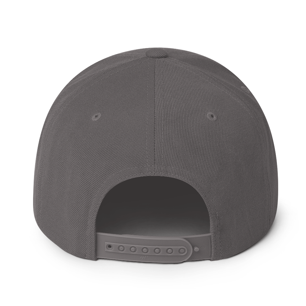 Propeller Snapback Hat