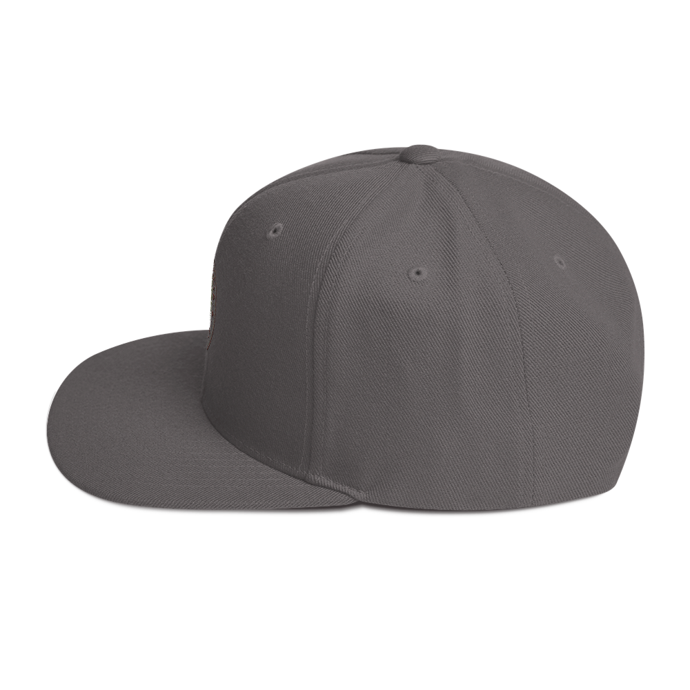 Propeller Snapback Hat