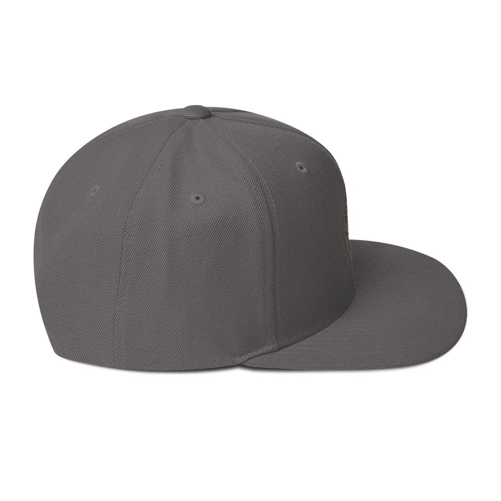 Propeller Snapback Hat