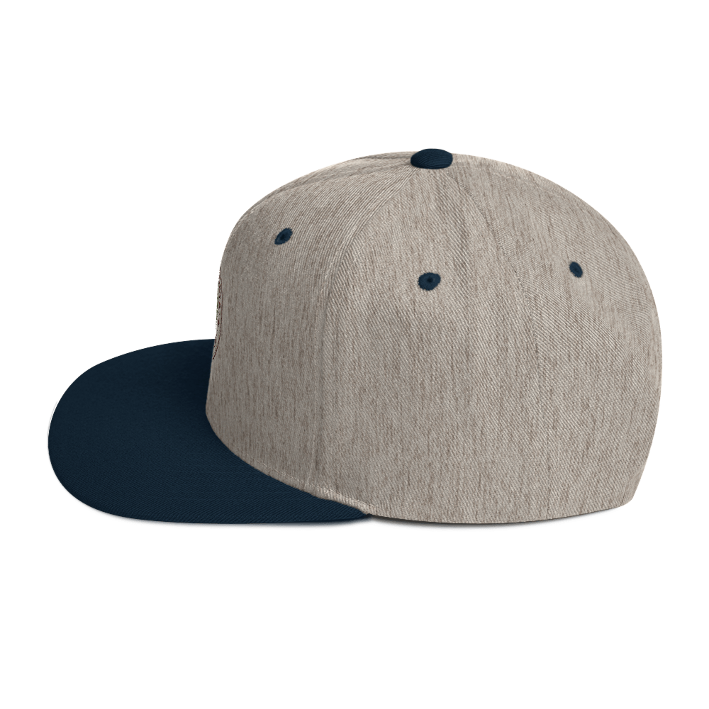 Propeller Snapback Hat