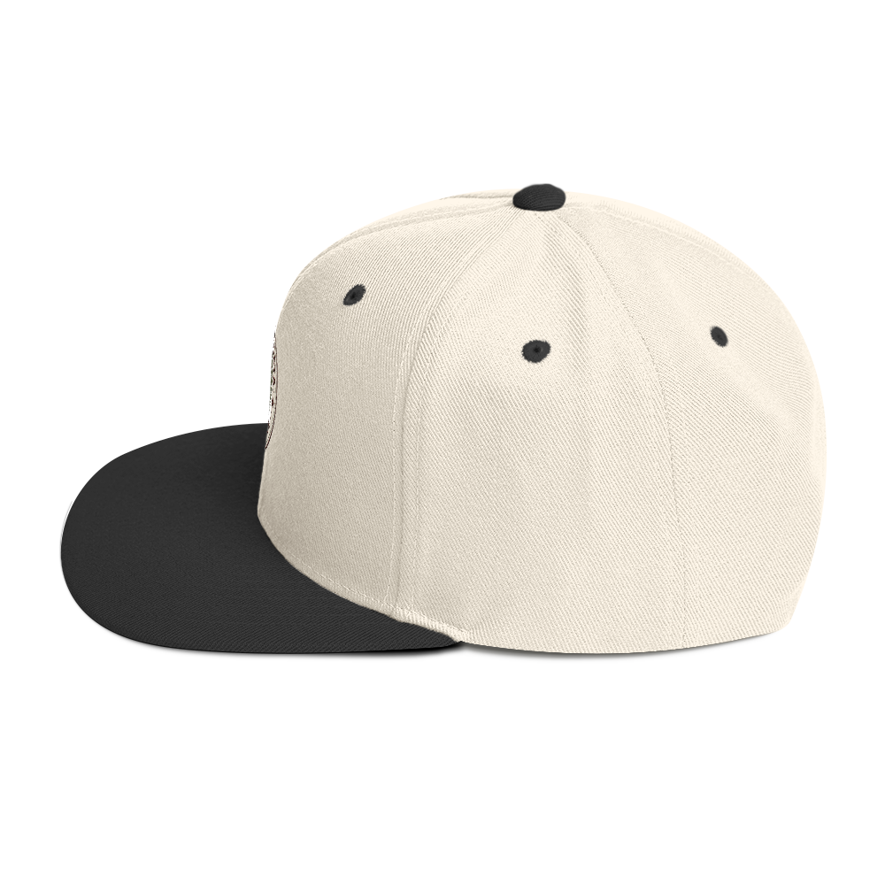 Propeller Snapback Hat