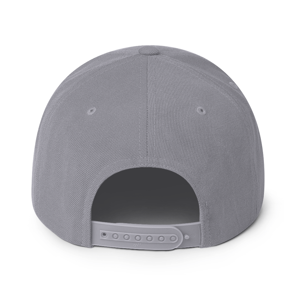 Propeller Snapback Hat