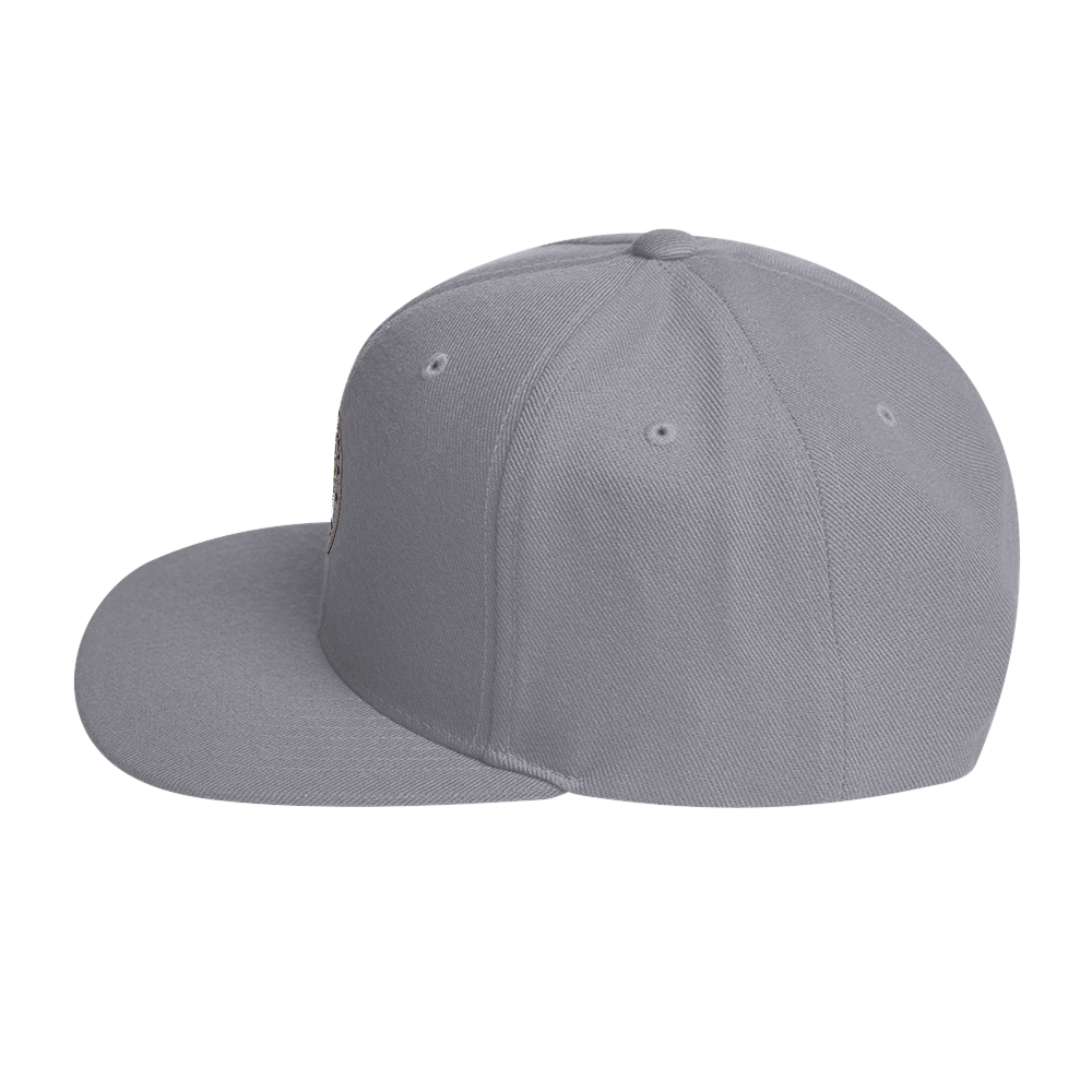 Propeller Snapback Hat