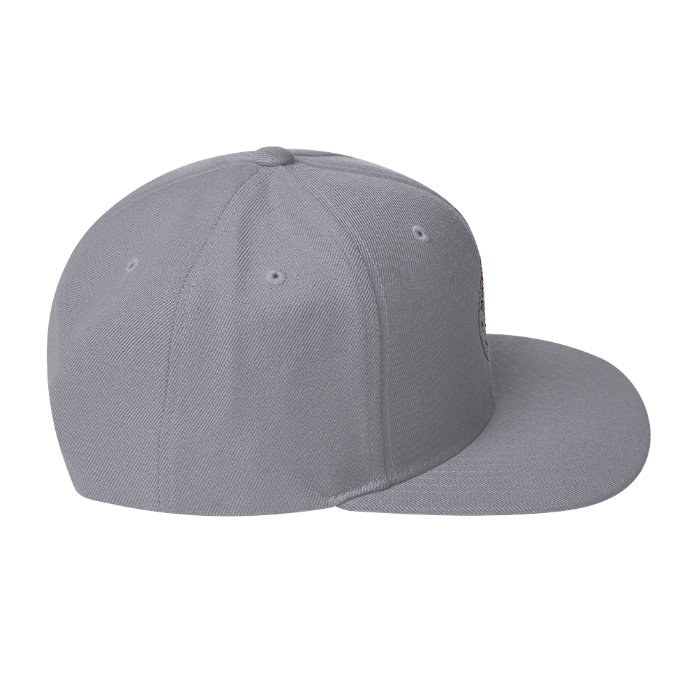 Propeller Snapback Hat