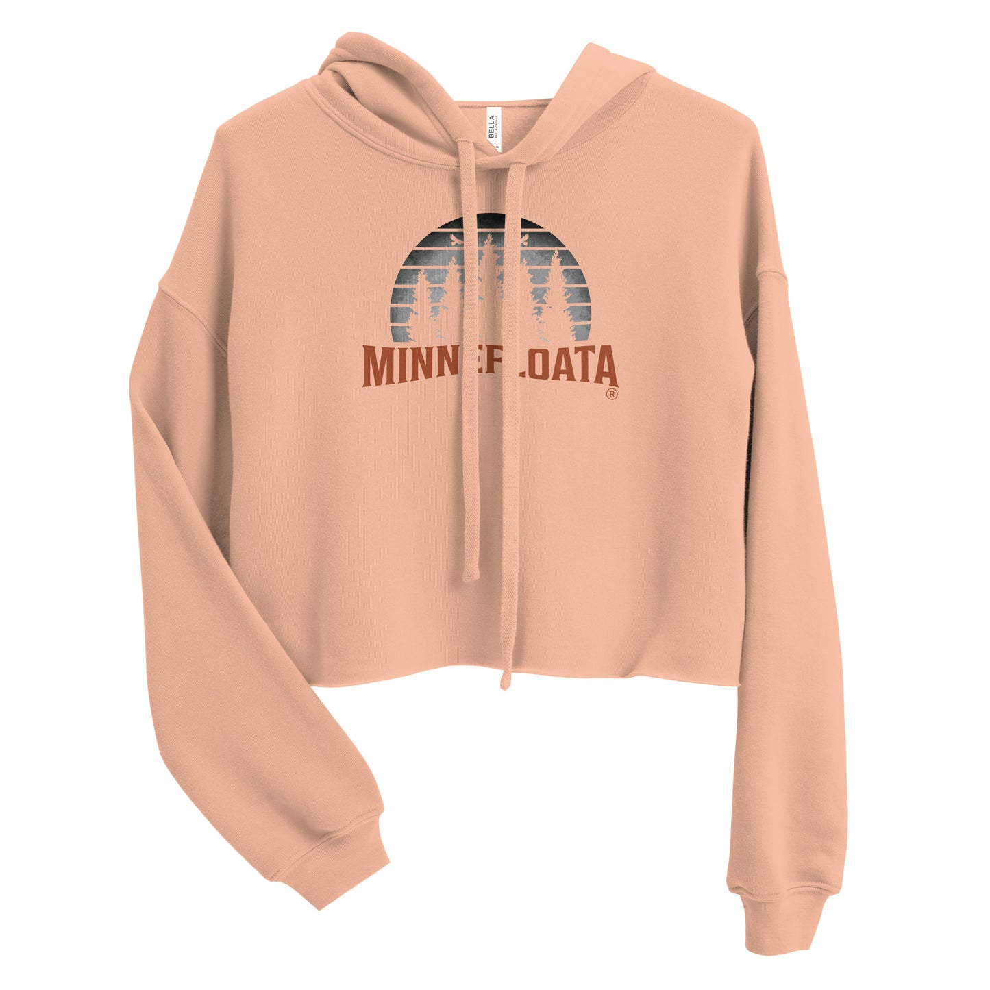 Minnefloata Crop Hoodie